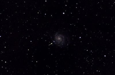 Une supernova lumineuse dans la galaxie M101