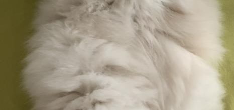 Journée rafraîchissante 