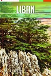 Download PDF Petit Futé Liban