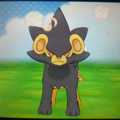 Chapitre 14 : Le Navi-fun