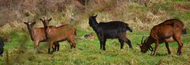 la haut  sur les rochs