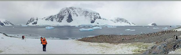 09/03/22 : nous débarquons sur Danco Island, située en face de la rocheuse Rongé Island, manchots papous et grands labbes (skuas) peuplent les lieux - Errera Channel - Antarctique