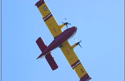 817 - Les Salles-sur-Verdon, dans le Var (83) 
