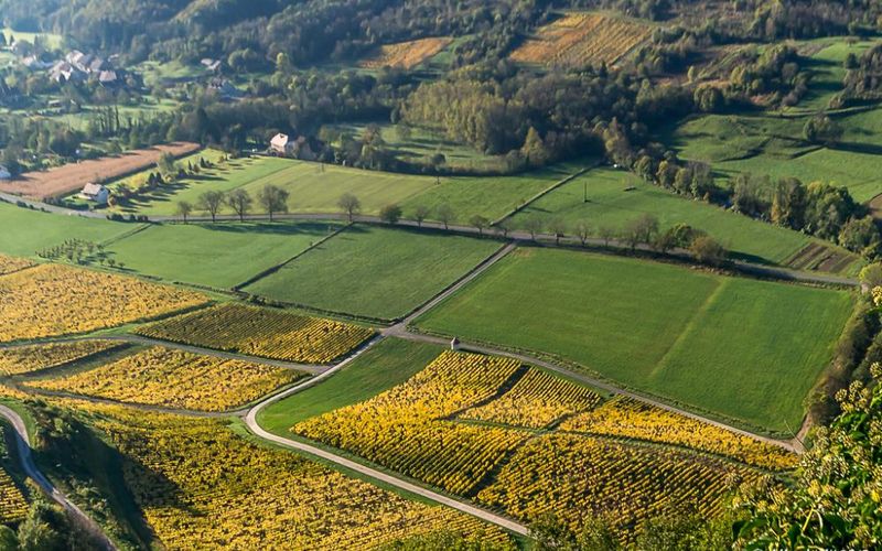 Au-dessus des brumes - 1