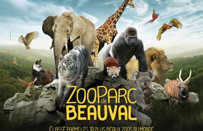 Journée enseignant zoo de Beauval
