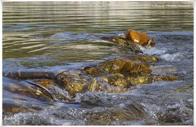 En eaux vives...