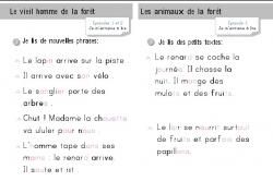 A tire d'aile: Textes pour petits lecteurs (Tatie Cocotte)