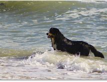 Quelque soit l'eau, Gampo s'éclate !