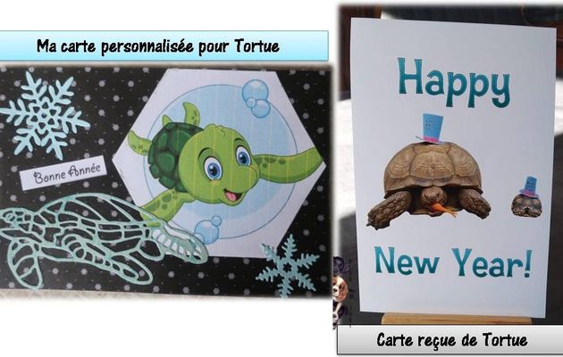 Vos cartes de voeux (1)