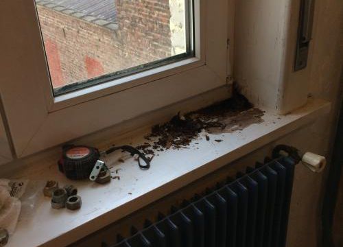 Travaux et compagnie