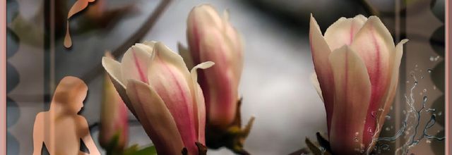 Je vois fleurir ...