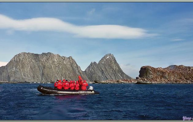Wild Point et Belsham Cape - Elephant Island - South Shetland Islands