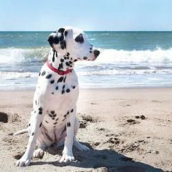 Essai couture # 4 Pochette simili cuir blanche