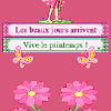 Le Printemps arrive ! (cartonnettes) 2014