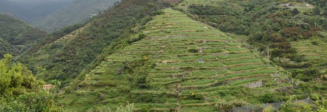 haut jardinage