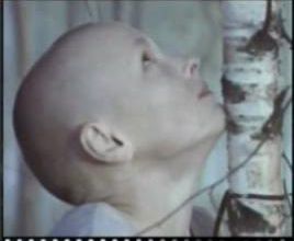 Zerwany / Torn. 2003.