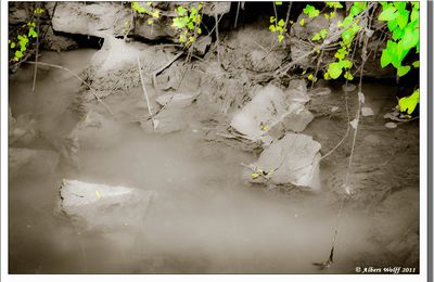 L'eau et la couleur