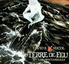 Avis sur TERRE DE FEU tome 2 : Les Noctambules, David B. & Hugues Micol
