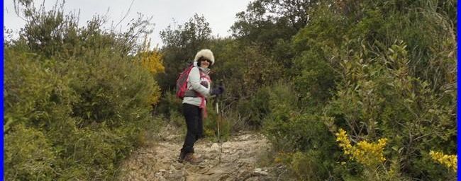 Sainte Baume, le col de Bertagne