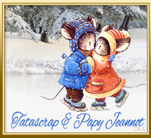 696 - Patin à glace - hiver, neige