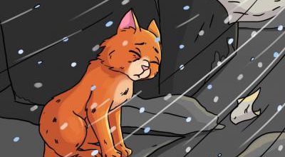 Petite histoire d'un chaton abandonné