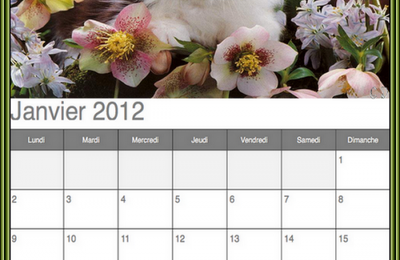 1ere serie de  4 calendriers 2012 imprimable