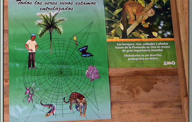Images du Costa Rica transférées depuis mon ancien blog