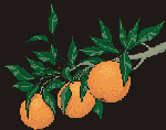 AGRUMES