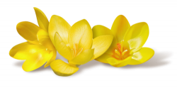 Easter 2019