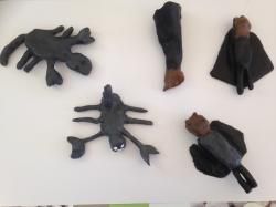 Animaux de la nuit en terre