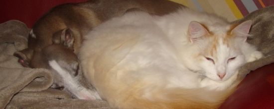 Blue et sa bouillotte...