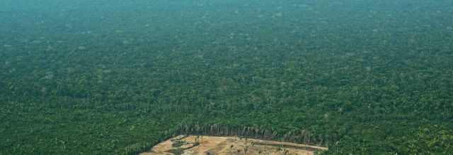 Les Remplaçants, Bernardo Carvalho, traduit du portugais par Elisabeth Monteiro Rodrigues (Métailié)