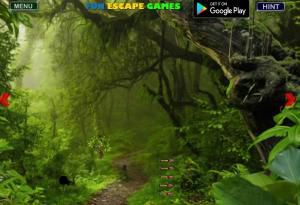 Amazon jungle fun escape