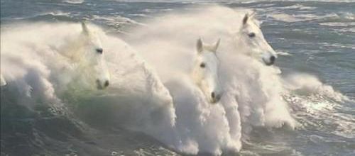 La mer.... pour se rafraichir un peu.