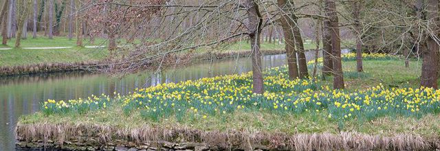 20 Mars : c'est le Printemps ! 