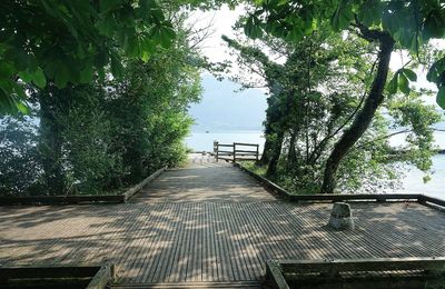 En longeant le lac d’Annecy ~ Le sentier des Roselières