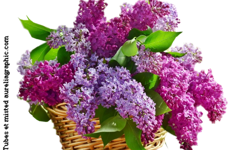 Pour fêter le printemps 