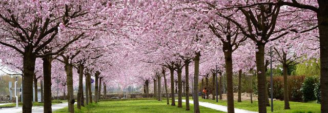 Printemps dans les HAUTS de FRANCE.