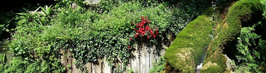 Le Jardin des Fontaines Pétrifiantes à La Sone
