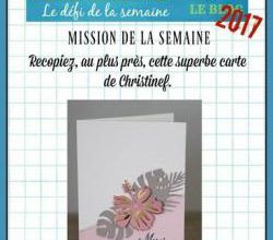Passion Cartes Créatives#488 !