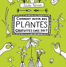 Récup' et plantes vertes