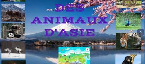Les animaux d'Asie: le genially avec tous les documentaires