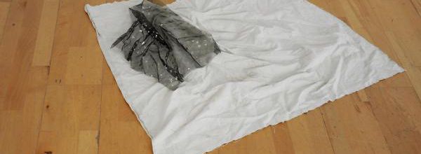 VEIL AND POLITICAL SURFACE