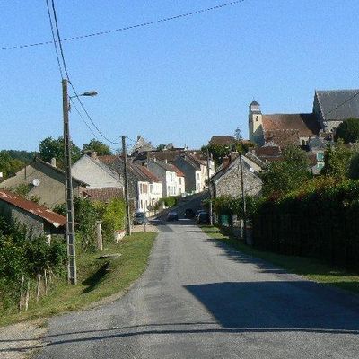 RANDONNEE EN FORÊT DE FERRIERES (Seine-et-Marne - 77)