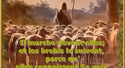 Homélie du 16ème dimanche du Temps ordinaire - 19 juillet 2015