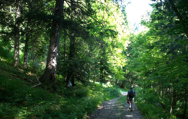 Le Colombier: les paysages