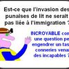 Rats et punaises s'invitent aux J.O. et sur le P.A.F.