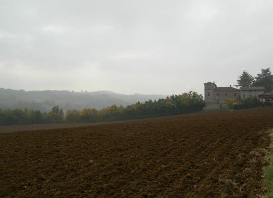 11 novembre San Martino 