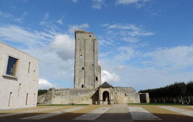 Le Grand Pressigny dept 37 (2)