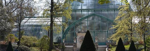 Les Serres d'Auteuil : Les travaux ont commencé !